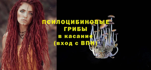 2c-b Алзамай