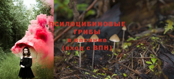 2c-b Алзамай