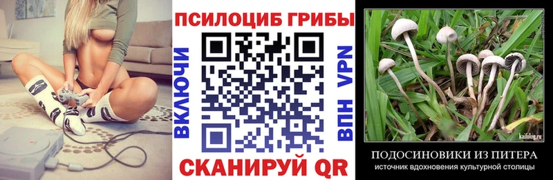 Псилоцибиновые грибы прущие грибы  Барыш 
